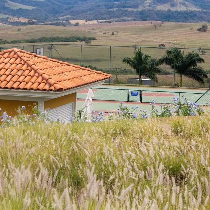 Ninho Verde II
