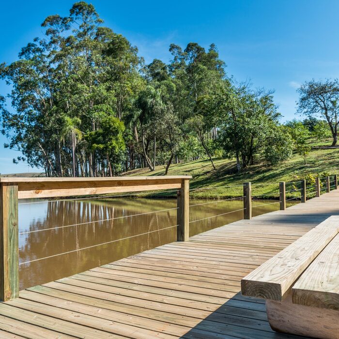 Passeio no Lago 2